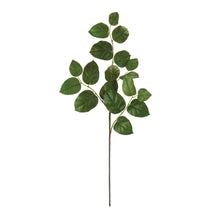 Load image into Gallery viewer, Foliage Leaf Spray (Set of 6)