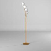 Load image into Gallery viewer, 5LT Incandescent Floor Lamp, Aged Brass,WH Glass