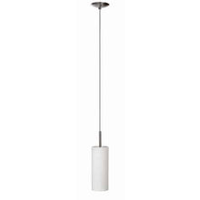 Load image into Gallery viewer, 1LT Wh Glass Pendant