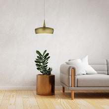 Load image into Gallery viewer, 1LT Incandescent Pendant, Painted Aged Brass