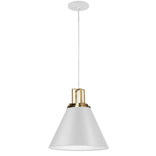 Load image into Gallery viewer, 1LT Incandescent Pendant, MW, AGB Accent