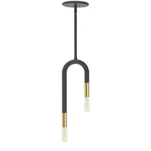 Load image into Gallery viewer, 2LT Incandescent Pendant, MB & AGB