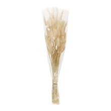 Load image into Gallery viewer, Bunny Tail Bundle (Set of 2)
