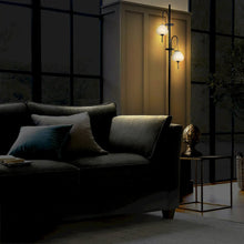 Load image into Gallery viewer, Height Integrated LED Floor Lamp with Glass Shades in Black and Dimmer Switch