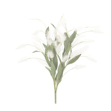 Load image into Gallery viewer, White Plume Bush (Set of 2)
