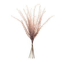 Load image into Gallery viewer, Grass Plume Bundle (Set of 6)