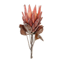 Load image into Gallery viewer, Red Protea Flower Stem (Set of 2)
