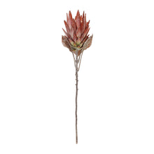 Load image into Gallery viewer, Orange Protea Flower Stem (Set of 2)