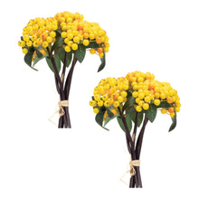 Load image into Gallery viewer, Yellow Berry Bundle (Set of 2)