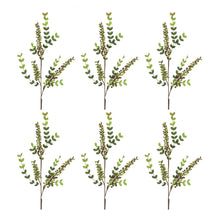 Load image into Gallery viewer, Variegated Red Berry Foliage Spray (Set of 6)