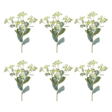 Load image into Gallery viewer, Euphorbia Floral Stem (Set of 6)