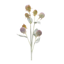 Load image into Gallery viewer, Thistle Foliage Spray (Set of 6)