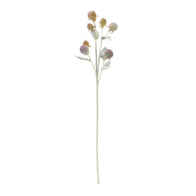 Load image into Gallery viewer, Thistle Foliage Spray (Set of 6)
