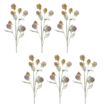 Load image into Gallery viewer, Thistle Foliage Spray (Set of 6)