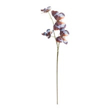 Load image into Gallery viewer, Butterfly Spray (Set of 6)