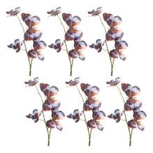 Load image into Gallery viewer, Butterfly Spray (Set of 6)