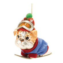 Load image into Gallery viewer, Glittered Snowboarding Dog Ornament (Set of 6)