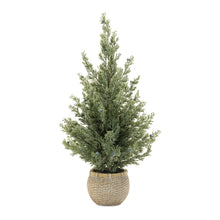 Load image into Gallery viewer, Potted Mini Pine Tree (Set of 2)