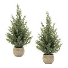 Load image into Gallery viewer, Potted Mini Pine Tree (Set of 2)