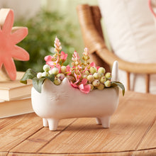 Load image into Gallery viewer, Ceramic Cat Planter (Set of 2)