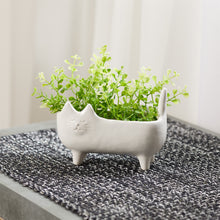 Load image into Gallery viewer, Ceramic Cat Planter (Set of 2)