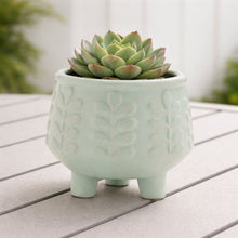 Load image into Gallery viewer, Footed Ceramic Leaf Pattern Planter (Set of 4)