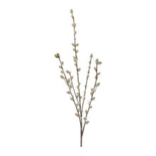 Load image into Gallery viewer, Pussy Willow Twig Spray (Set of 6)