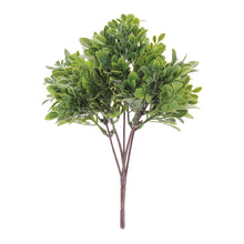 Load image into Gallery viewer, Boxwood Foliage Bush (Set of 6)