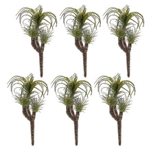 Load image into Gallery viewer, Air Plant Succulent Pick (Set of 6)