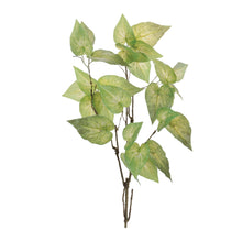 Load image into Gallery viewer, Anthurium Leaf Branch (Set of 4)