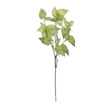 Load image into Gallery viewer, Anthurium Leaf Branch (Set of 4)