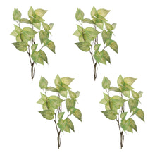 Load image into Gallery viewer, Anthurium Leaf Branch (Set of 4)