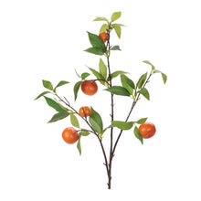Load image into Gallery viewer, Orange Fruit Foliage Branch (Set of 6)
