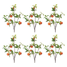 Load image into Gallery viewer, Orange Fruit Foliage Branch (Set of 6)