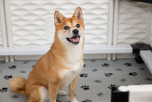 Load image into Gallery viewer, EZclassic Whelping Box w/Rails