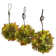 Load image into Gallery viewer, 5" Mixed Succulent Hanging Ball (Set of 3)