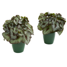 Load image into Gallery viewer, Rex Begonia Artificial Plant in Green Planter (Set of 2)