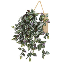Load image into Gallery viewer, 20" Wandering Jew Artificial Plant in Decorative Hanging Frame