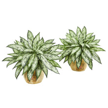Load image into Gallery viewer, 17" Silver Queen Artificial Plant in Decorative Planter (Set of 2)