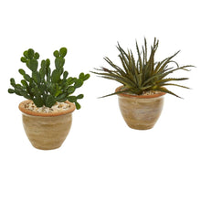 Load image into Gallery viewer, Aloe and Cactus Succulent Artificial Plant (Set of 2)