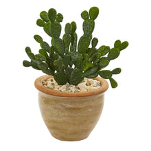 Load image into Gallery viewer, Aloe and Cactus Succulent Artificial Plant (Set of 2)