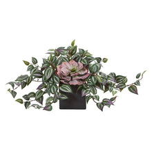 Load image into Gallery viewer, Echeveria and Wandering Jew Artificial Plant in Black Vase
