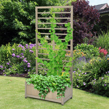 Load image into Gallery viewer, Raised Garden Bed with Trellis for Climbing Plants