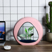 Load image into Gallery viewer, 1Gallon Fish Aquarium Tank with Filter Air Pump-Pink