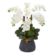 Load image into Gallery viewer, Phalaenopsis Orchid Artificial Arrangement in Stoneware Vase