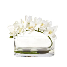 Load image into Gallery viewer, Phalaenopsis Orchid Artificial Arrangement in Glass Vase