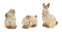 Load image into Gallery viewer, Weathered Terra Cotta Rabbit Garden Statue (Set of 6)