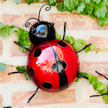 Load image into Gallery viewer, Metal Lady Bug Garden Decor (Set of 6)