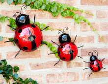 Load image into Gallery viewer, Metal Lady Bug Garden Decor (Set of 6)