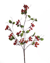 Load image into Gallery viewer, Boxwood Berry Twig Spray (Set of 12)